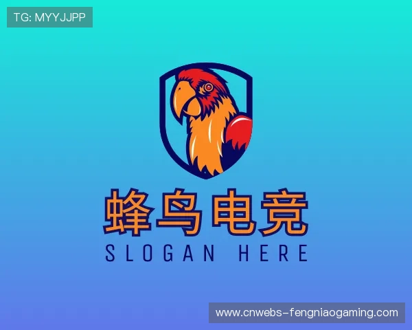 介绍蜂鸟电竞团队